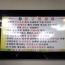 쫑생쫑사 이미지