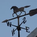 비오아이 이미지