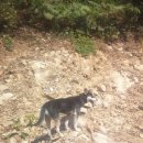 은별농장 이미지