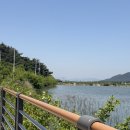 호수정원 | [경주] 호수뷰 경주감성숙소 ‘베니아펜션’ 102호 후기 | 경주불국사펜션