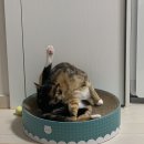 진짜 고생한 한 주