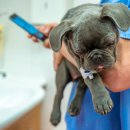 연수동물메디컬센터 이미지