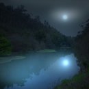 달이 떴다고 전화를 주시다니요 이미지