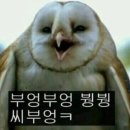 비엘왁싱