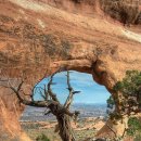 웃음잔치 이미지