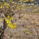 구미종합터미널옆 이미지