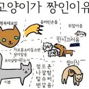 카페라끄 이미지