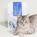 펫수니 네이버블로그