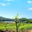 점암농장 이미지