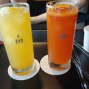 카페플렌트 이미지