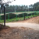 정감이마을 태양광발전소 이미지