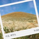 (주)월드뷰 이미지