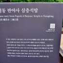 반야사불상 이미지