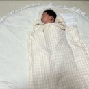 평화이불 - 해남군 산정1길 37-1 | 모로 반사로 잠 못 자는 아기 숙면 돕는 머미쿨쿨 좁쌀이불 올인원 후기