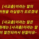 연거푸에 이어서 세거푸 글을 올려서 진짜루 죄송해유~ 이미지