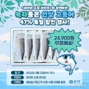 선상 이미지