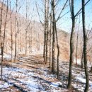 태산농장 이미지