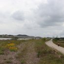 세한대학교 골프연습장 Daum카페