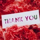 황금5로 이미지