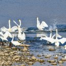 푸른사료 이미지