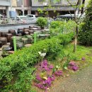 부영선지국 이미지