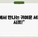 브리더클럽 | 안산셔틀랜드쉽독분양 브리더클럽