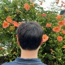 제주 구남동 미용실 추천!! 댄디한 애즈펌 &#34;살롱드비앤비 구남점미용실&#34;