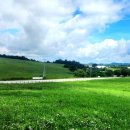 한우목장 이미지