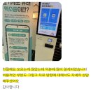 24시 아프리카동물병원 | 군포24시동물병원 고양이 배 멍울, 아프리카에서 이렇게 확인하세요.