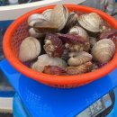 안면도조개구이 이미지