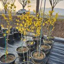 목천농장 이미지