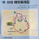 마장 매화둘레길 이미지