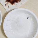 중앙기계세탁 이미지