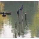 새들의천국 이미지