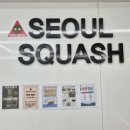 [종로 광화문] 직장인 운동 추천 서울스쿼시 광화문점 방문 후기
