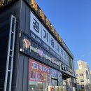 골든타켓