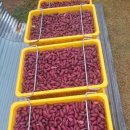 만사농장 이미지