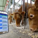 쑥쑥한우농장 이미지