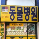 태평역 동물병원 이미지