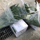 서구노인복지관(14) 이미지