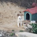 한솔여관 이미지