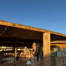 (자)비봉관광여행사 | 몽골 패키지 여행 가성비 좋은 밝은미래여행사 솔직후기 및 꿀팁 공유