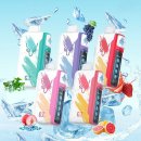 Korea 한국전자 | 씨알에스코리아(CRS KOREA) GT 하이퍼(GT HYPER) 민트...포도 아이스 25000PUFFS 일회용 전자담배 리뷰