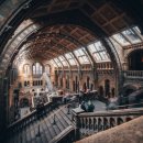 역사책 다시 읽기 이미지