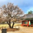 산천재(문화재) 이미지