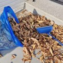 펜션아일라 | 아일라 겨울 준비