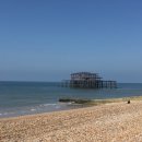 [런던여행 3일차] 영국 남쪽 Brighton & Seven Sisters Cliffs
