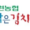 초이스화원