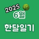2025년 6월 한달일기