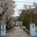 아산초등학교 이미지